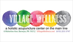 village_logo